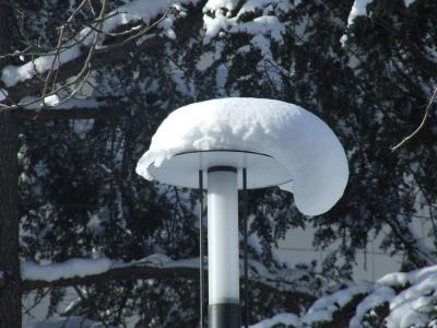 Прикрепленное изображение: p03.jpg